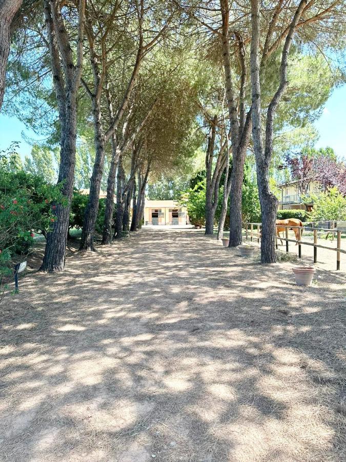 Turfrose Di San Rossore A Pisa By Zoom In Earth 외부 사진